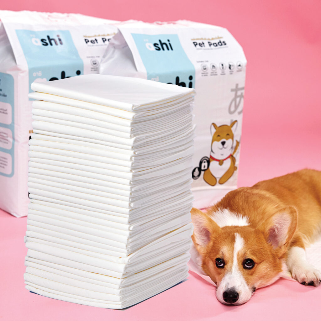 แผ่นรองซับสำหรับสัตว์เลี้ยง (Pet Pads)